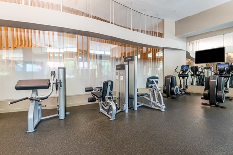 a gym with cardio equipment and weights on the floor at The Acadia at Metropolitan Park, Arlington, VA, 22202